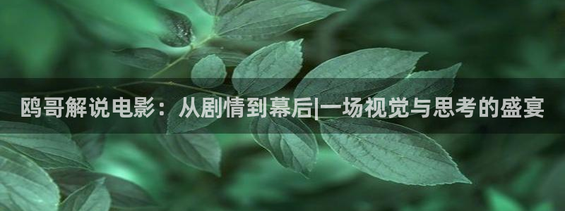 星空影院免费播放电视剧大全最新
