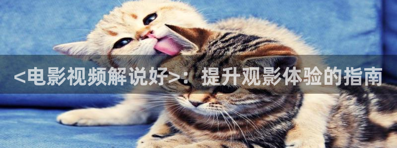 免费下载星空影院