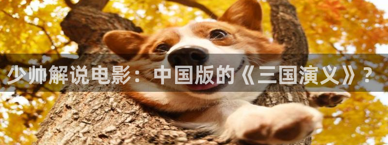 星空影院电视剧在线观看