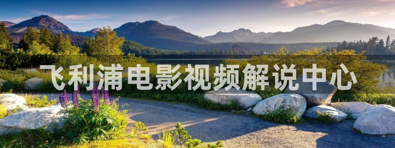 星空视频在线观看免费播放电视剧