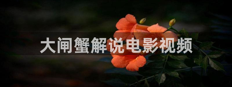 关岭星空影城
