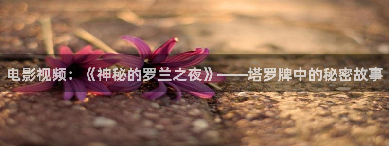 电影星空下载