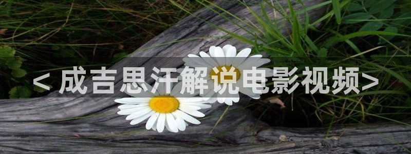 星空电视剧影院