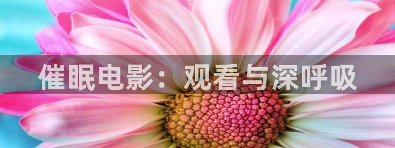 星空免费高清完整版