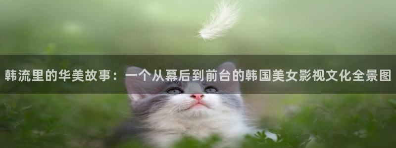 星空影院网免费