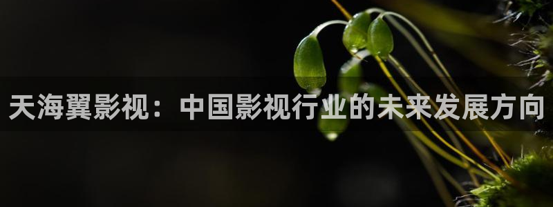 星空影视剧