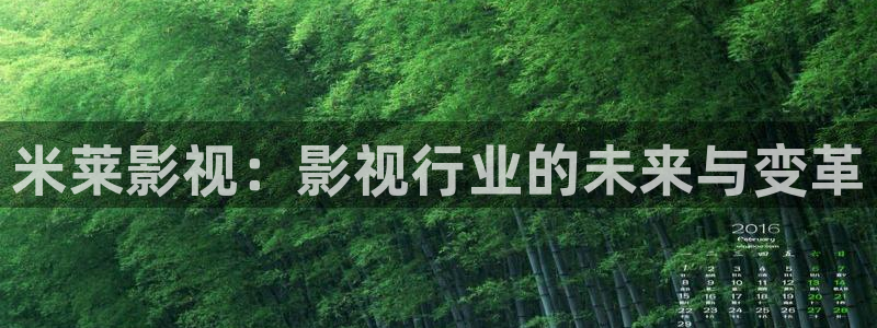 璀璨人生免费观看全集星空影院