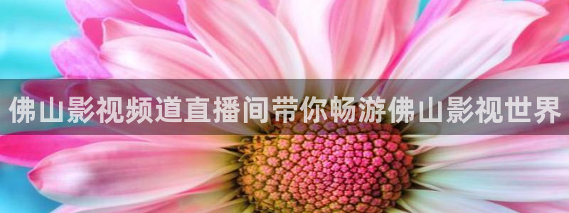星空影院色戒