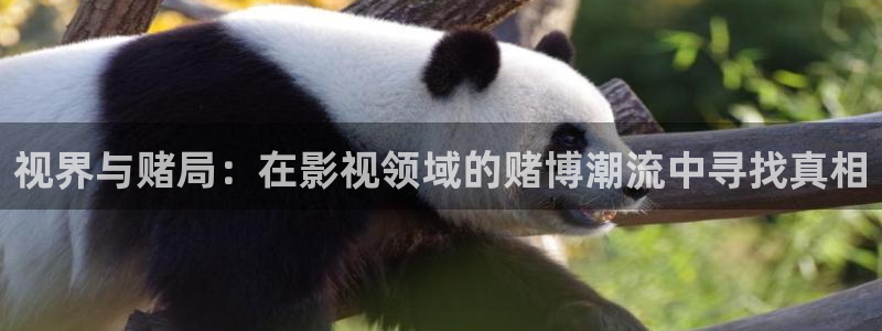 在线观看影院星空