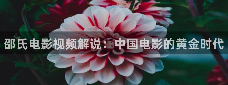 星空影院大全免费观看