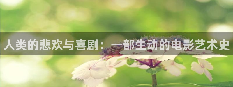 星空无痕mv免费观看高清
