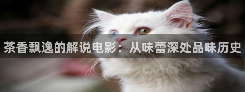 星空类电影