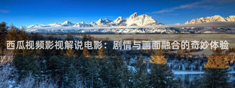 星空影院电影在线观看免费