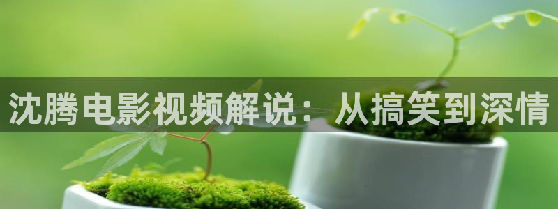那片星空那片海电视剧