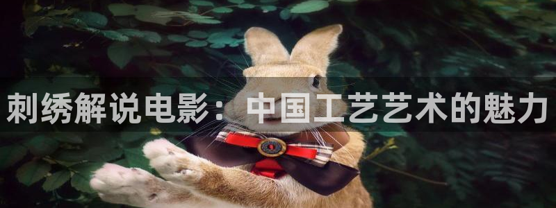 二十不惑星空影视