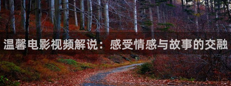 星空电影网在线观看