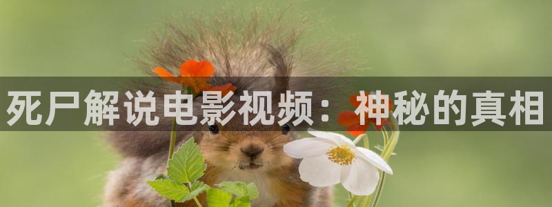 沧元图星空影视