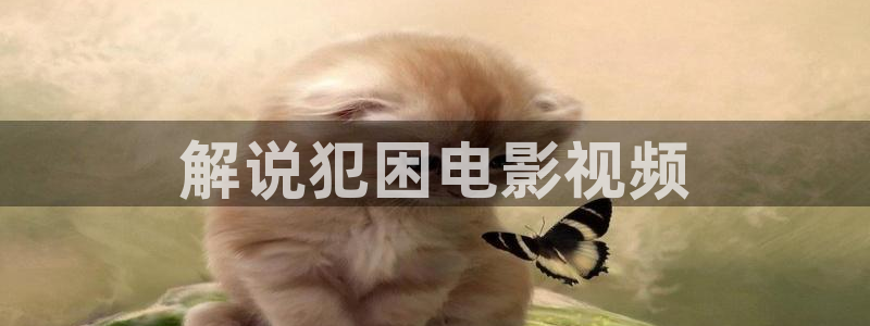 星空传媒影视在线播放