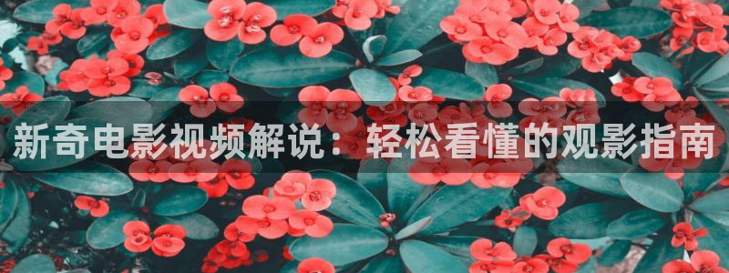 星空影视下载免费