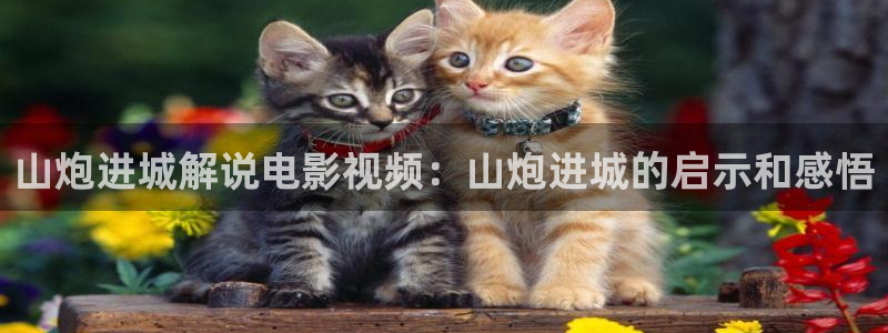 星空影院免费观看电视剧大全最新