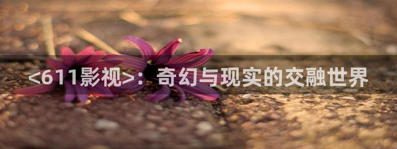 夏至未至电视剧免费观看完整版星空影院