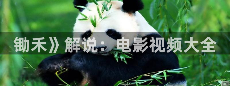 星空无痕mv免费视频观看