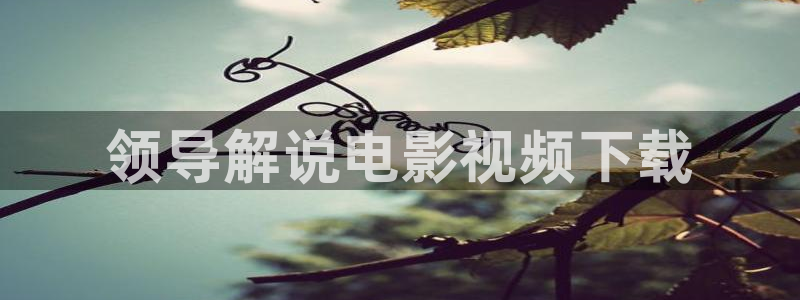 星空影院大全在线观看免费观看：领导解说电影视频下载