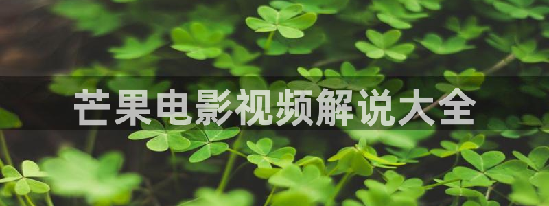 星空无限传媒免费观看全部：芒果电影视频解说大全
