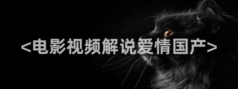 星空影视大全电视剧免费播放在线