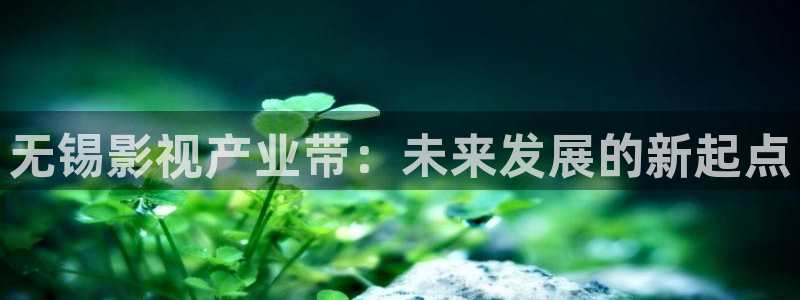 星空无限传媒免费观看电影
