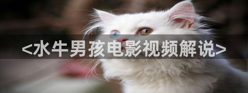 星空电影影院在线观看免费完整版
