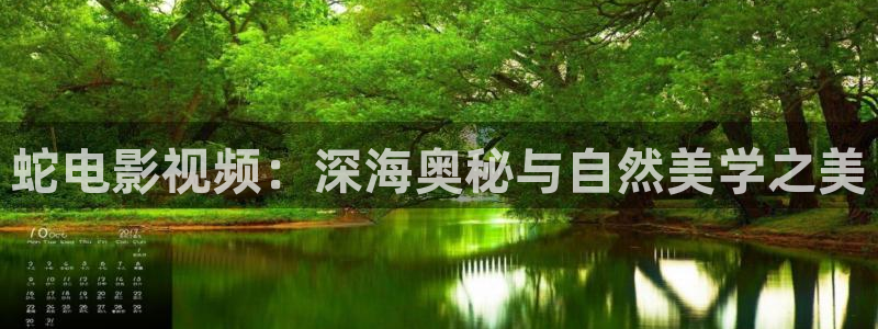 星空影院手机免费观看电影在线播放
