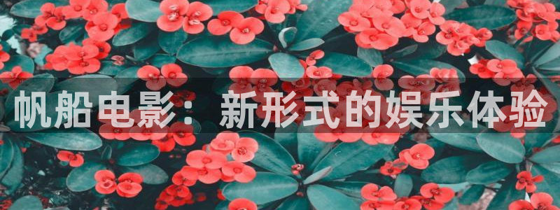 星空影院怎么免费看电影：帆船电影：新形式的娱乐体验