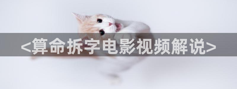 星空电影高清完整版在线观看