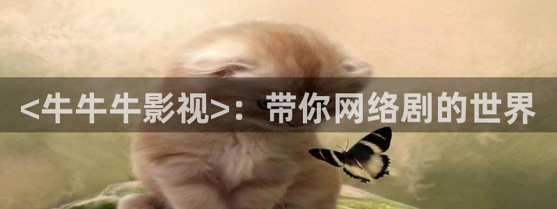 星空影院免费观看电视剧
