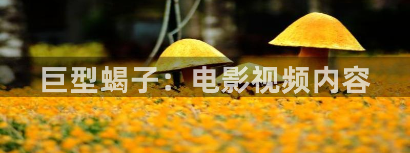 星空影院在线视频观看