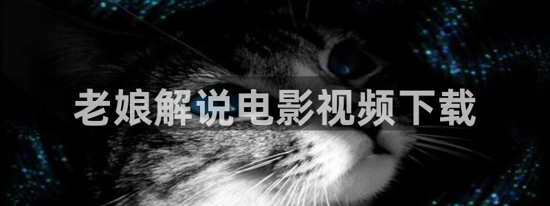 星空电影在线观看免费播放