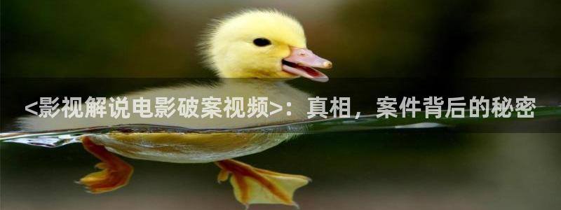星空照