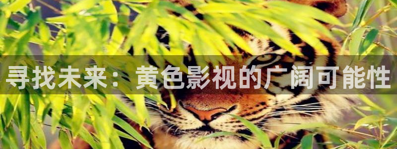 星空免费观看电影