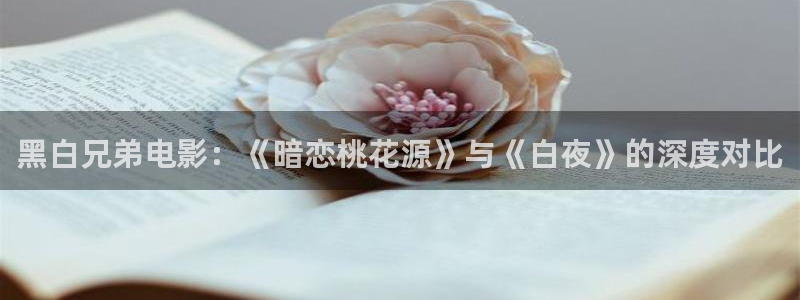 星空传媒在线播放