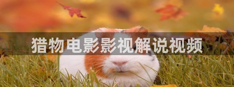 星空电影免费播放观看