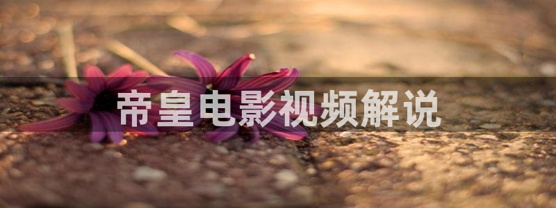 星空影院动漫下载