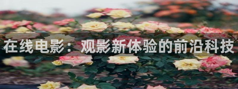 星空无限传媒电视剧在线观看策驰影院