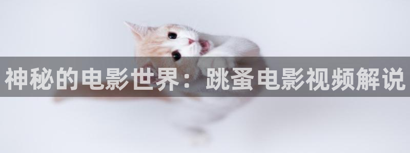 星空影院电视免费