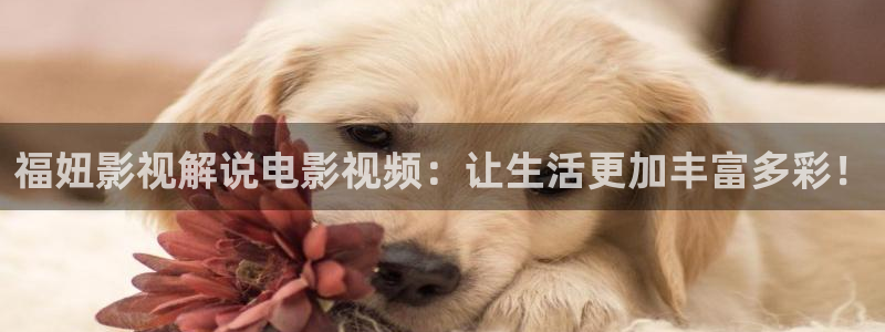星空影院电视剧免费看
