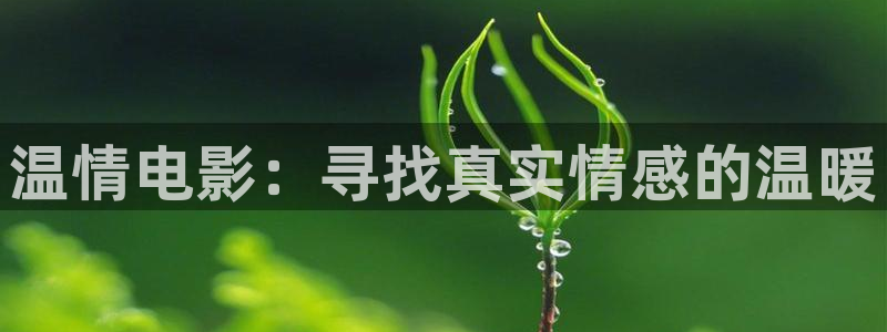 雁回时在线观看星空影院