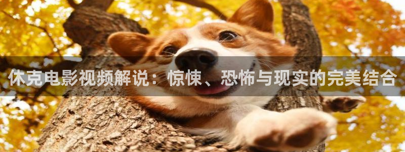 星空影院电影在线看